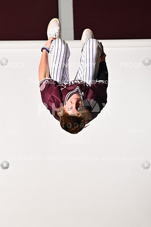 DLS_0317
