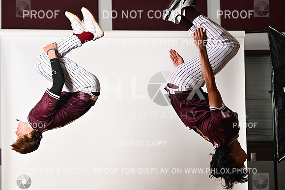 DLS_0333
