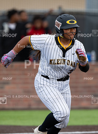 DLS_0219