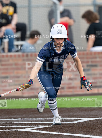 DLS_0367