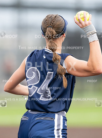 DLS_0470