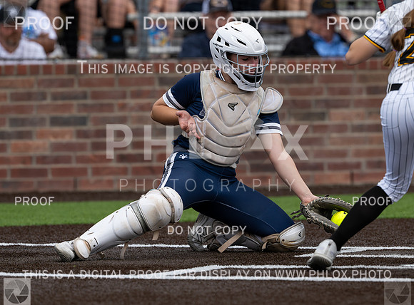 DLS_0552