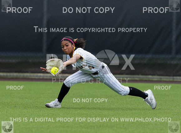 DLS_0760
