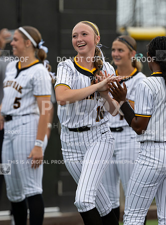 DLS_9536
