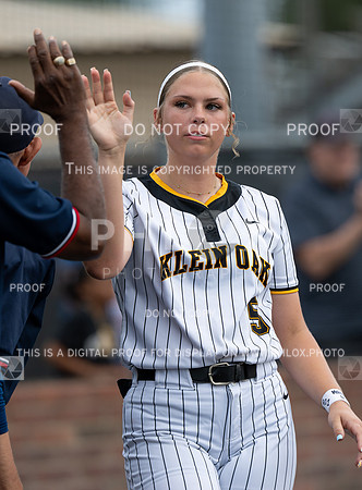 DLS_9737