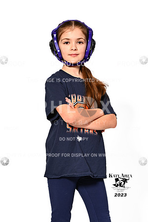 DLS_0406