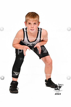 DLS_0727