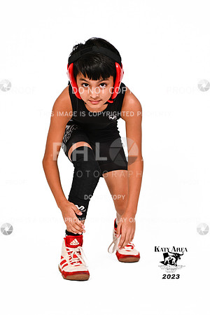 DLS_0741
