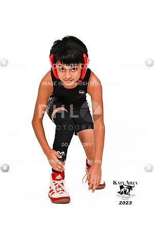 DLS_0742