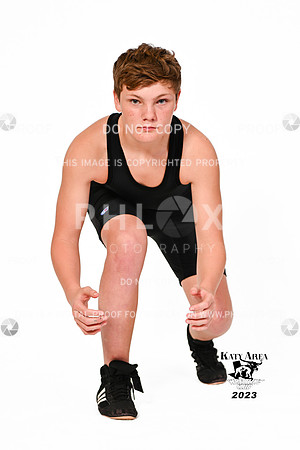 DLS_0782