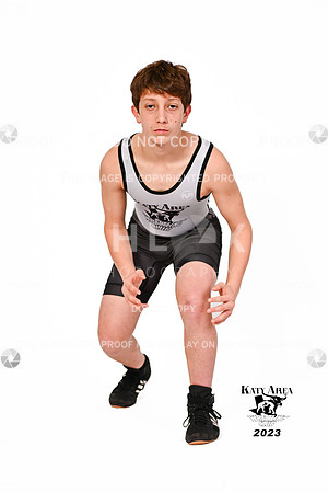 DLS_0814