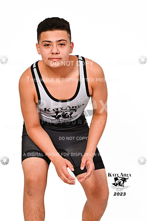 DLS_0825