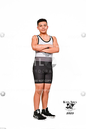 DLS_0828