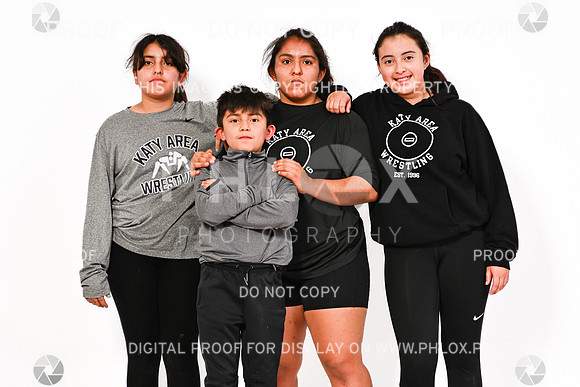 DLS_0868