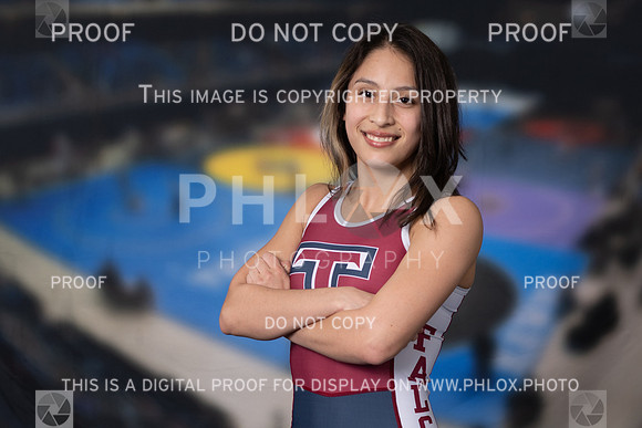 DLS_0913