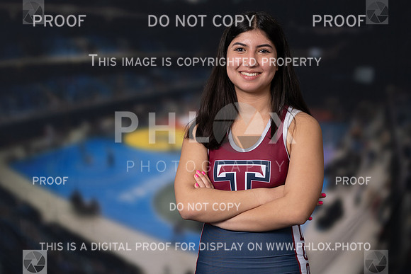 DLS_0928