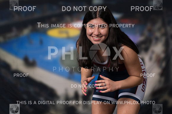 DLS_0930