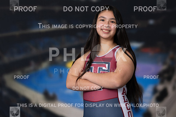 DLS_0931