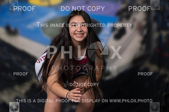 DLS_0933