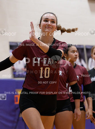 DLS_0660