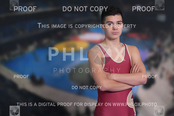 DLS_2535
