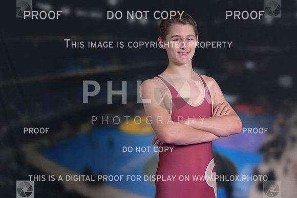 DLS_2531