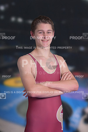 DLS_2532