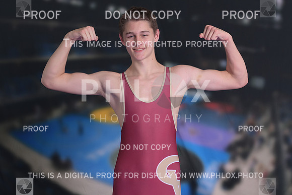DLS_2534
