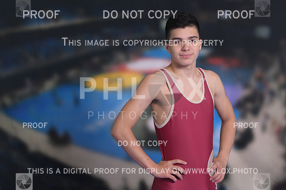 DLS_2539