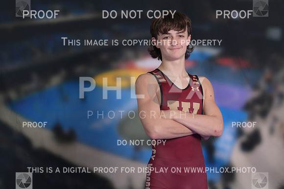 DLS_2541