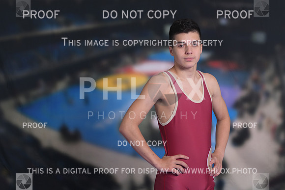 DLS_2540-2