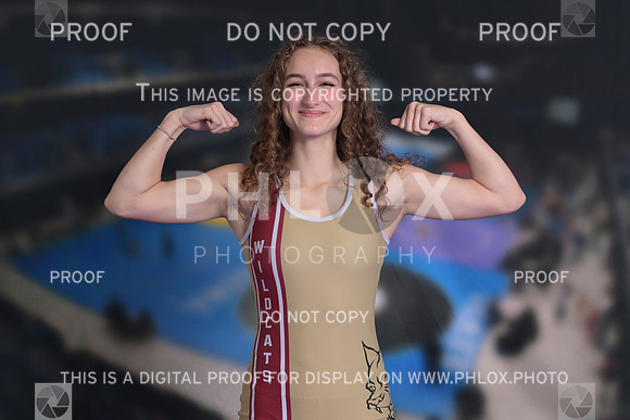DLS_2547