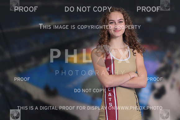 DLS_2545