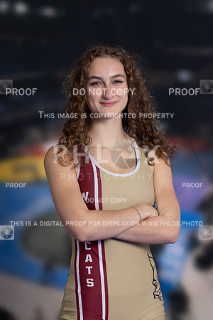 DLS_2546