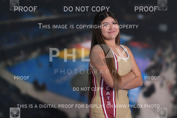 DLS_2549