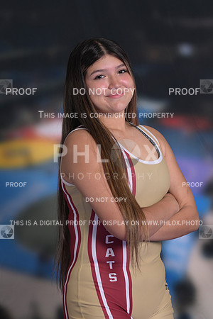 DLS_2550
