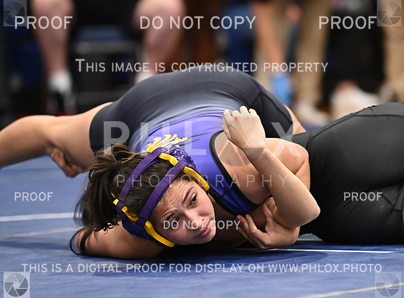 DLS_4582