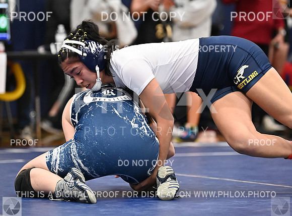 DLS_4561