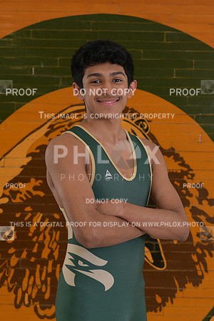 DLS_9159