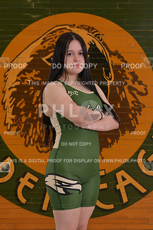 DLS_9166