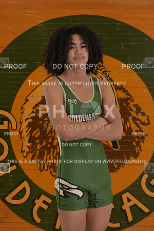 DLS_9179