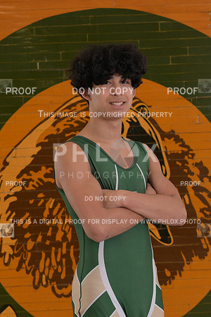 DLS_9185