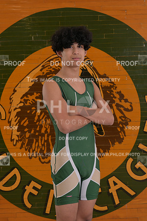 DLS_9183