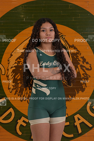 DLS_9191