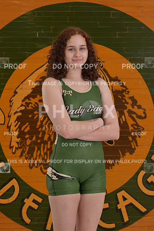 DLS_9196