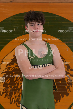 DLS_9201