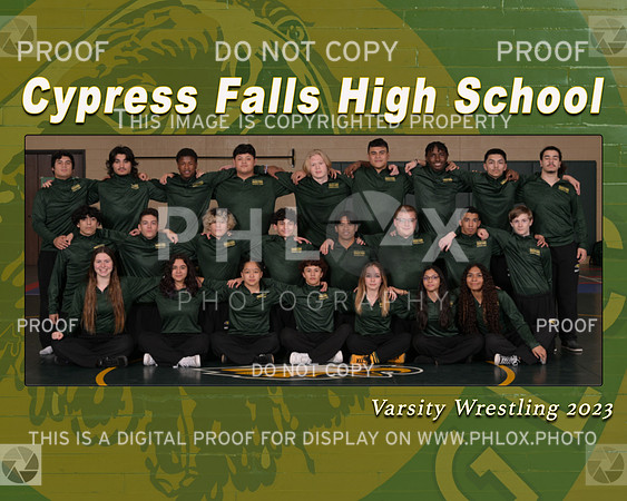 CyFalls Team Buddies