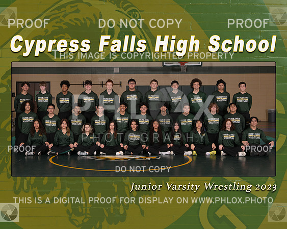 CyFalls Team JV
