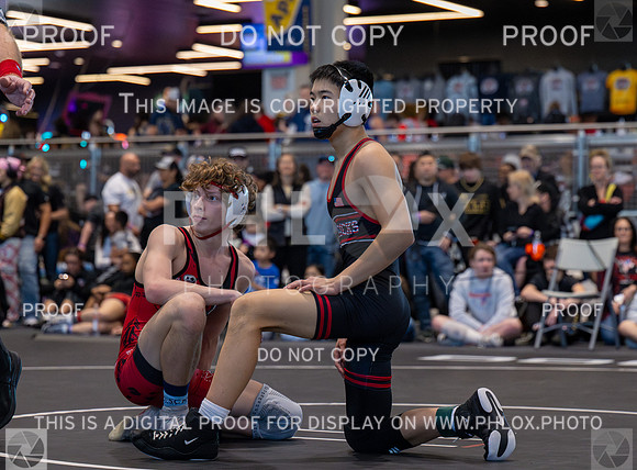 DLS_3025