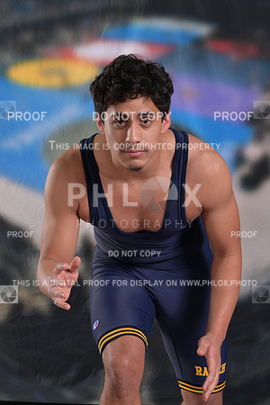 DLS_9505